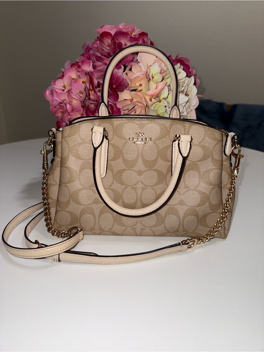 Coach Signature Canvas Mini Satchel